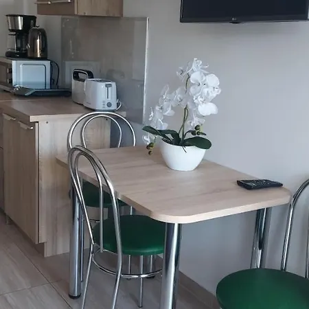 Goscinne Silver Rogowo (Gryfice)