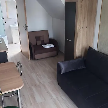 Goscinne Silver Apartament *