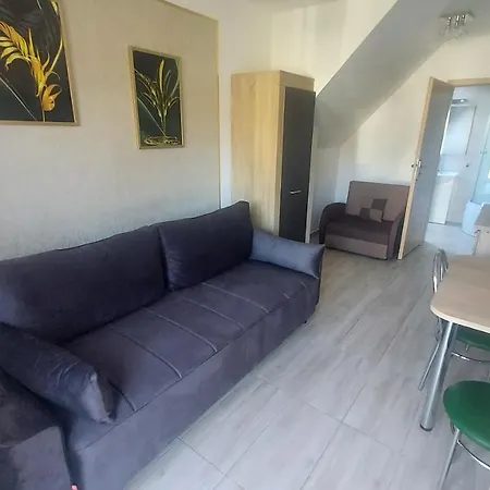 Goscinne Silver Apartament