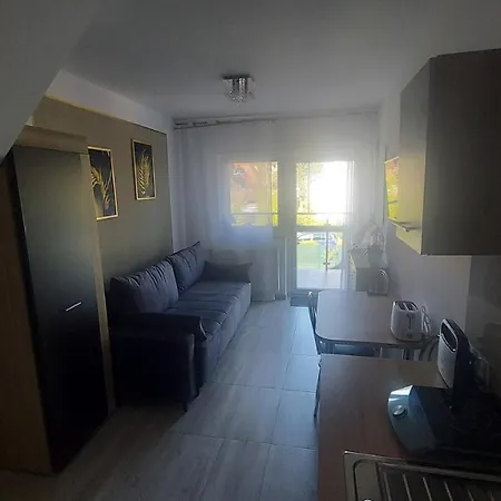 Goscinne Silver * Rogowo