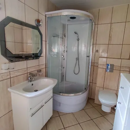 Goscinne Silver Rogowo