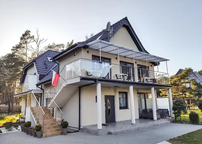 Goscinne Silver ロゴボ