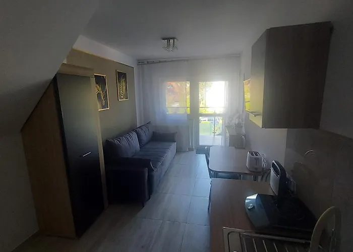 Goscinne Silver * ロゴボ